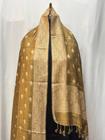 Mahtab -Pashmina Hijab