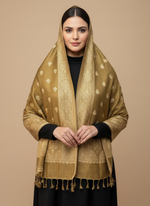 Mahtab -Pashmina Hijab